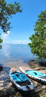 Paddleboards on a tranquil lake shore under a clear blue sky.