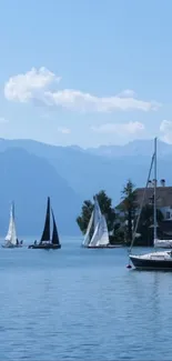 Sailboats on a serene lake with mountain backdrop and blue skies.