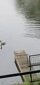 Lone bird on calm lake with dock in tranquil setting.