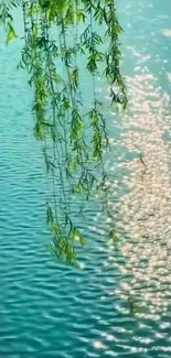 Serene willow branches over a sunlit lake reflecting light.