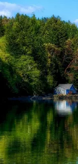 Peaceful lakeside forest with a cabin and reflection.