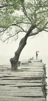 Serene lakeside path with trees and a distant figure under an umbrella.