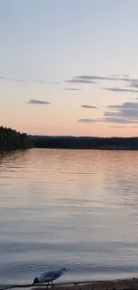 Tranquil sunset view over a calm lake with a pink sky and natural surroundings.