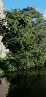 Serene countryside with lush green trees by a calm lake.