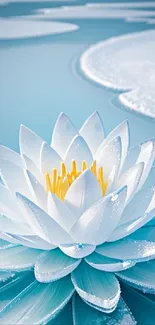 Lotus blossom covered in dew on a calm blue pond.