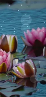 Pink lotus flowers floating on tranquil water with gentle sparkles.