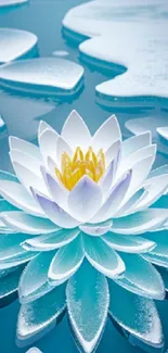 Icy white lotus floating on blue water, creating a serene and elegant wallpaper.