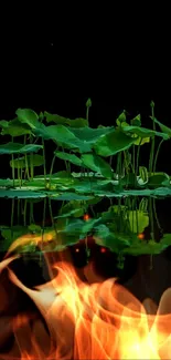 Floating lotus leaves with reflection on a dark background wallpaper.