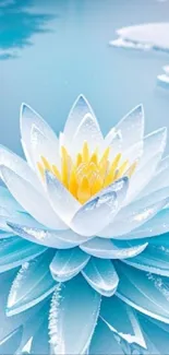 Blue and white lotus flower on a serene water background.