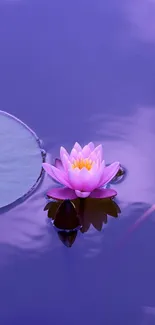 Purple water with a lotus flower floating peacefully.