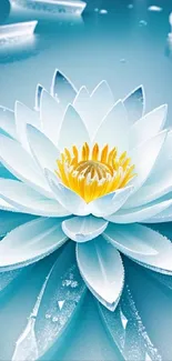 Serene lotus flower on tranquil water background.