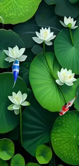 Serene lotus pond with koi fish and white flowers on green lily pads.