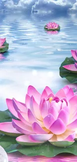 Serene blue water with pink lotus flowers floating peacefully.