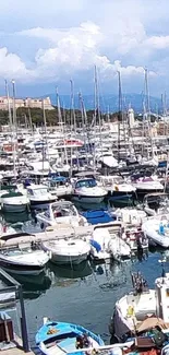 A serene marina filled with boats under a blue sky.