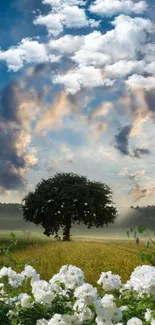 Lone tree in a meadow under a cloudy blue sky wallpaper.