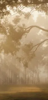 Misty forest with trees and sunlight in beige tones.