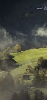 Misty hills with lush greenery and fog, peaceful landscape view.