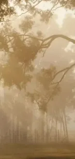 Misty forest scene with golden light and serene trees.