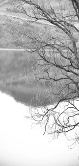 Monochrome lake with bare trees and reflection.