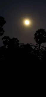 Moonlit night with silhouetted palm trees against a dark sky.