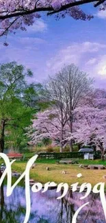 Cherry blossom trees by a lakeside, peaceful morning scene.