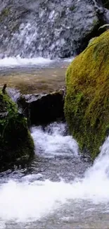 Mobile wallpaper of a tranquil stream with lush green moss.