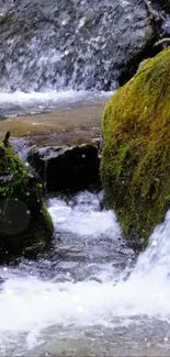 Cascading stream with lush moss-covered rocks.