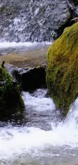 Mossy waterfall flowing over rocks in serene nature setting.