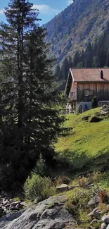 Wooden cabin on lush mountainside with pine trees and blue sky.