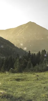 Serene mountain landscape with green meadows and trees at sunrise.