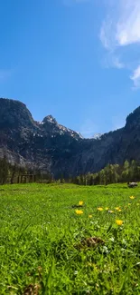 Tranquil mountain landscape with blue sky and grassy meadow.