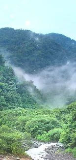 Tranquil mountain landscape with misty green hills and valley.