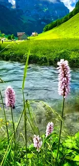Serene stream with lush greenery and distant mountains.