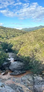 Serene forest stream in a lush mountain landscape with clear blue skies.