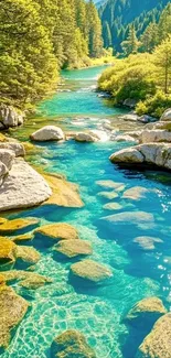 Tranquil mountain stream with clear water and lush greenery.