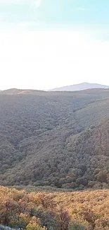 Lush green mountain landscape with a serene view.