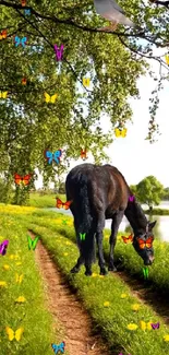 Horse grazing by a lush green meadow under birch trees next to a serene river.