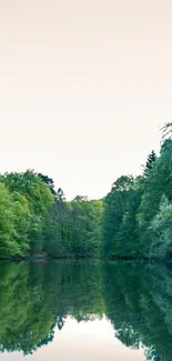 Tranquil lake with forest reflections, ideal for a serene mobile wallpaper background.