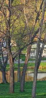 Peaceful landscape with trees and pond reflecting sunlight.