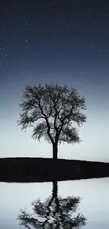 Lone tree reflected on lake under starry night sky.