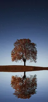 Solitary tree reflecting in calm lake under starry night sky.