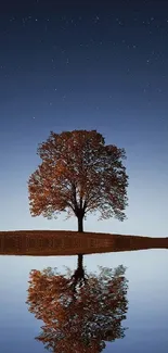 Lone tree with night stars reflecting over a calm lake.