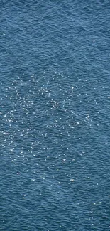 Calm ocean with flying birds in a serene blue environment.