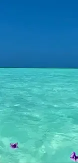 Turquoise ocean under a deep blue sky with gentle waves.