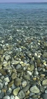 Clear ocean water over sunlit pebbles.