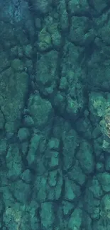 Aerial view of tranquil deep green ocean texture.