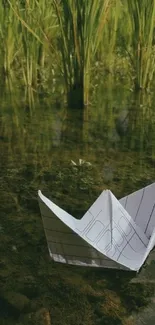 Paper boat floating on calm water amidst green grass.