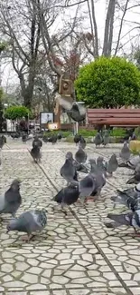 Park path with gathering of pigeons under green trees.