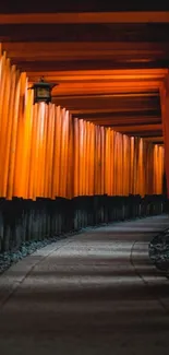 Pathway through vibrant red Torii gates, offering a serene mobile wallpaper view.