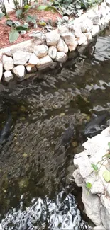 Peaceful garden pond with greenery and rocks.